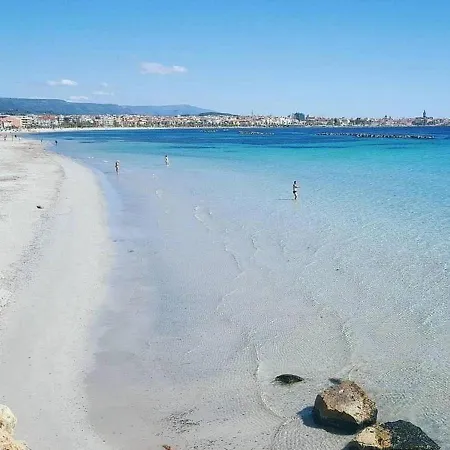 Symbiosis Sassari